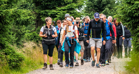 Eine Gruppe Wanderer auf einem Weg durch den Wald